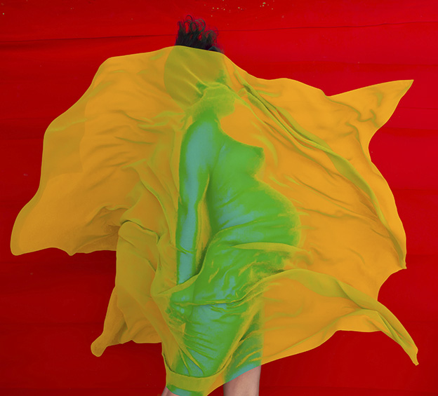 SURPRISE! The Remarkable Photography of Howard Schatz – Terra