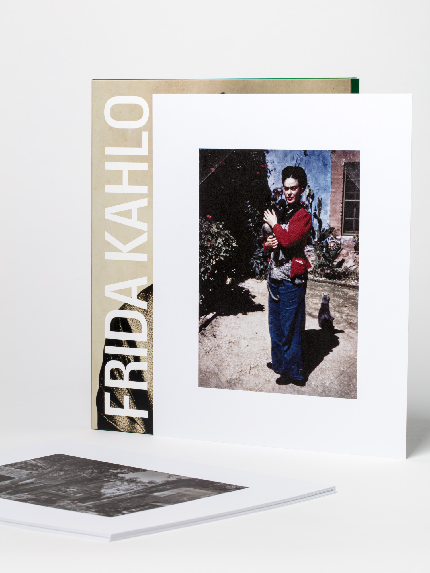 Frida Kahlo7913